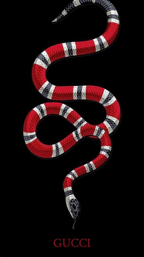 gucci snake illustrator|snake in gucci.